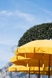 黄色阳伞防晒图片