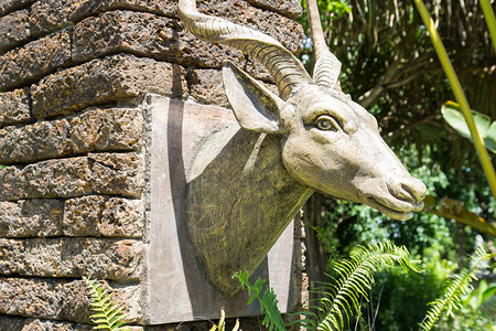 在泰国清迈的拉贾普鲁克皇家公园内装饰鹿头雕塑图片