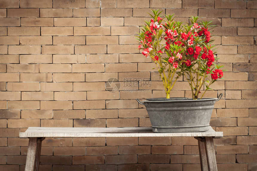 红花和砖墙背景复古风格图片