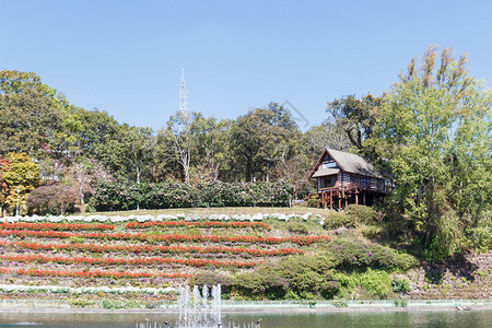 山上的木屋池塘边有花坛图片