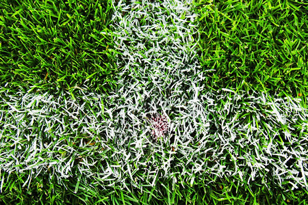 室外足球场上交叉白线的细节足球场中线条的细节塑料草和精细研图片