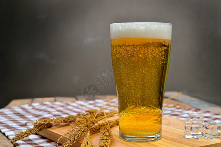 啤酒与啤酒种图片