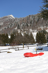 冬天在山上玩雪的rebbob图片