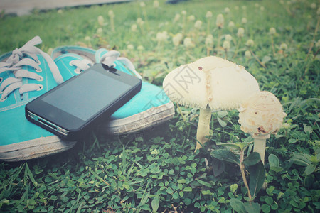 运动鞋和智能手机草地上有蘑菇背景图片
