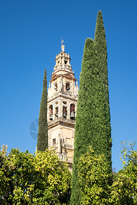 在西班牙安达卢西亚科尔多瓦的圣母承袭者夫人清真寺和教堂的图片