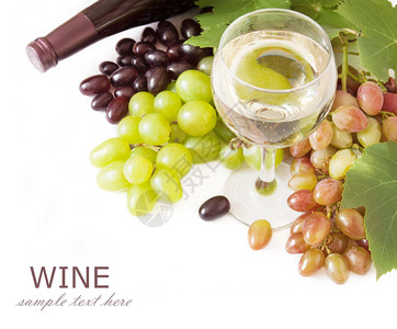 白红葡萄酒葡萄叶子和白本图片