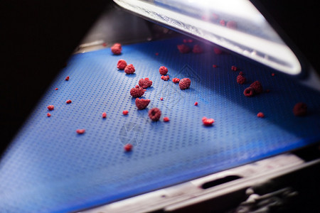 冷冻红树莓激光分选加工机背景图片