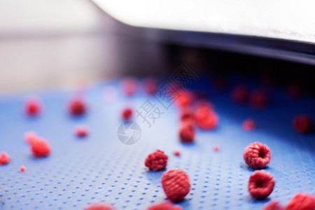 冷冻红树莓激光分选加工机背景图片