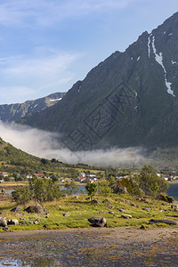 挪威Lofotten群图片