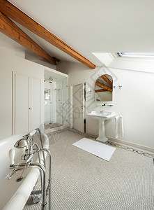 豪宅内部带淋浴和缸的豪华经典浴室图片
