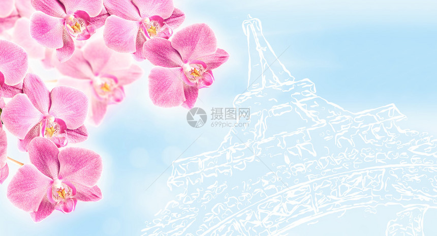粉红兰花以埃菲尔铁塔的立体图像为标图片