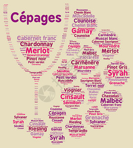 法国词云中的葡萄品种背景图片