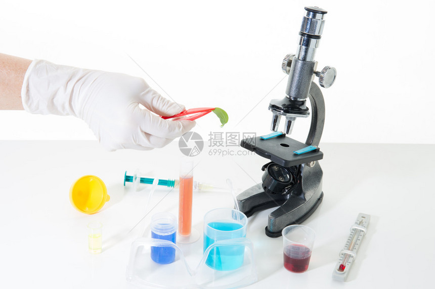 实验室研究含有带显微镜的化学图片