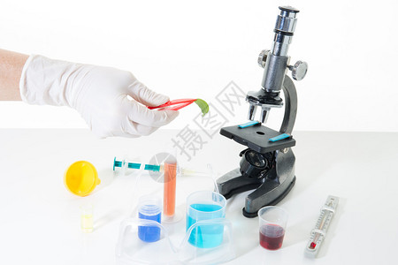 实验室研究含有带显微镜的化学图片