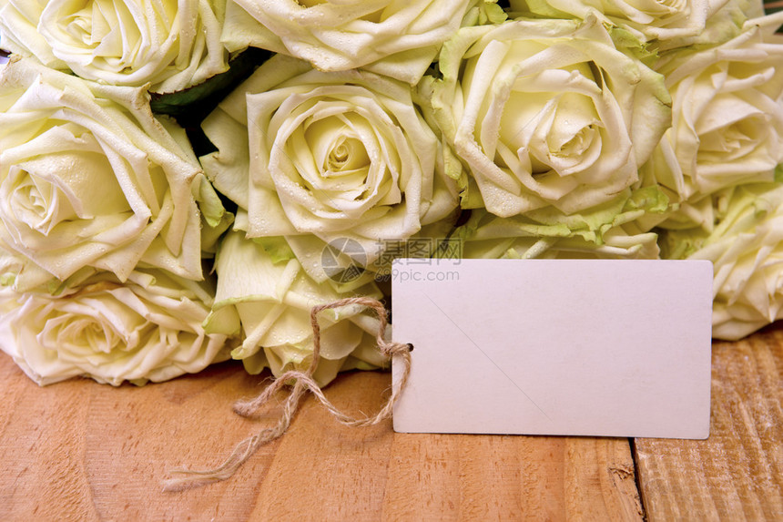 白玫瑰在伍德恩图片