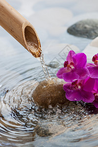 拥有美丽的卵石粉红兰花和竹管的美丽水环境图片