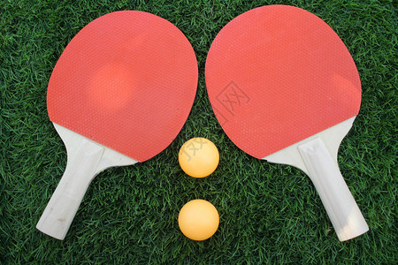 草地上的乒乓球背景图片