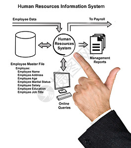 人力资源信息系统背景图片