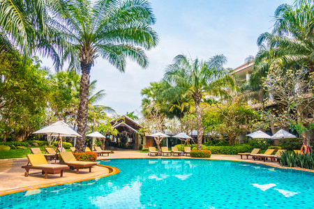 在酒店泳池度假胜地用棕榈树和海背景游泳池图片