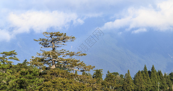 Fushoushoshan农场的风景图片