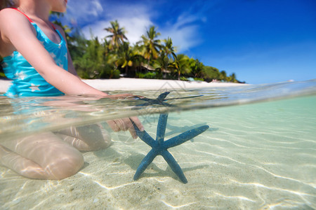 一个小女孩在浅的海水中与蓝海星玩耍的碎图片