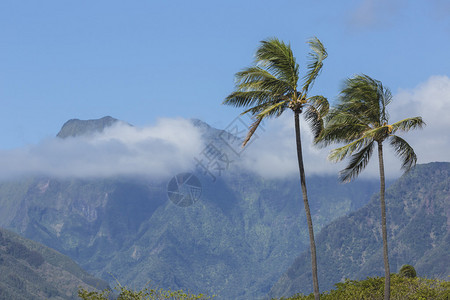 Kaua夏威夷沙滩上图片