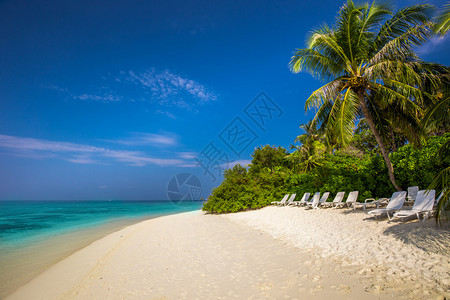拥有沙滩棕榈树和清澈海水的热带岛屿图片