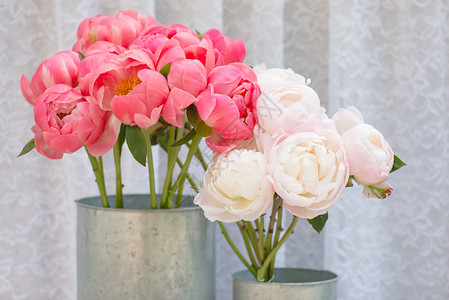 花束一束粉色和白色的牡丹花图片