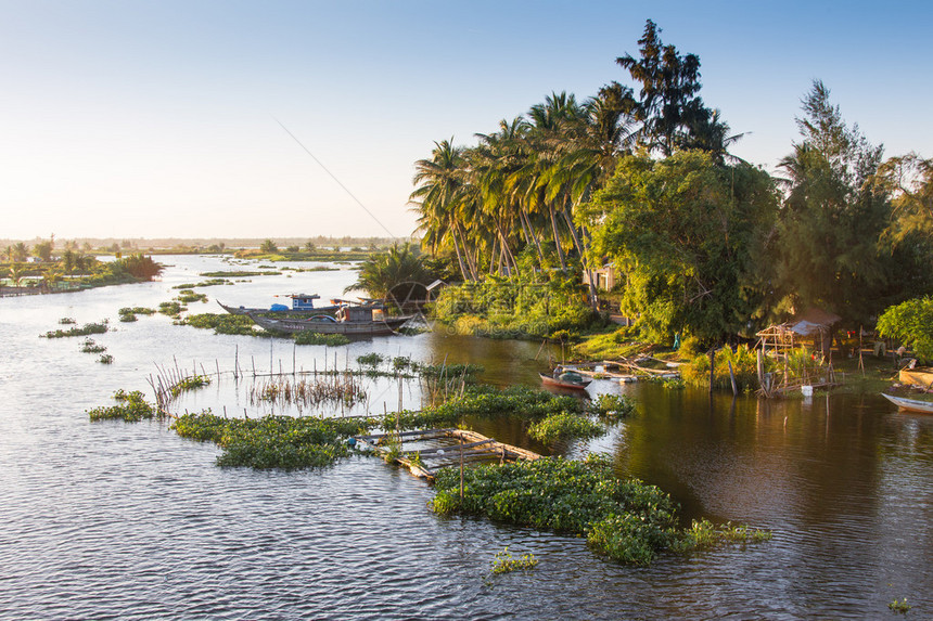 在越南平静的湖面上划独木舟图片
