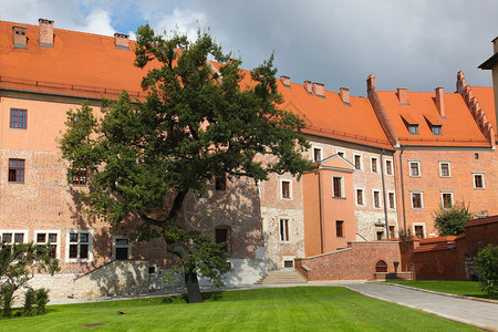 中世纪城堡和蓝天中的花园图片