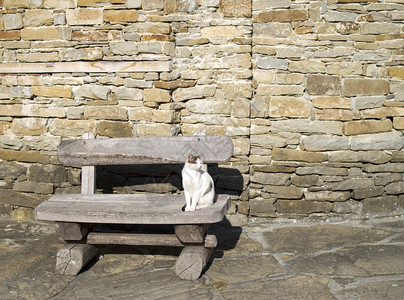 单眼胡同猫在木凳上休息图片