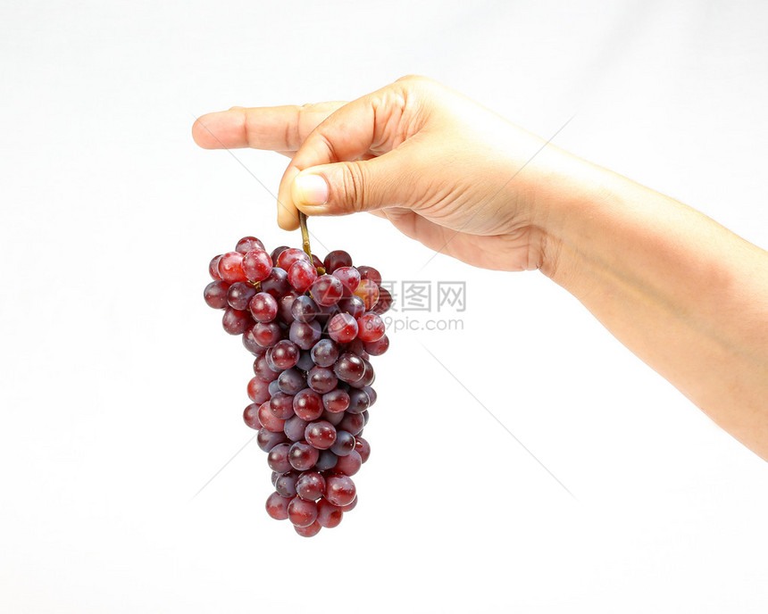 小红葡萄束手指握在白色背景上图片