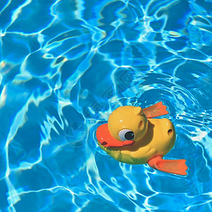 黄橡胶鸭夏季家庭游泳池中的图片