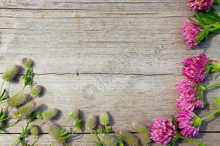 木质表面花朵和草地花的装饰型图片