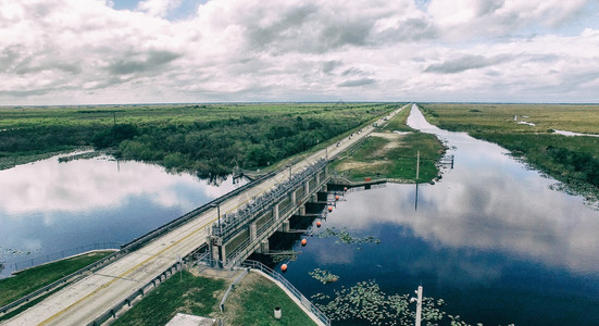 美国佛罗里达州Everglades公图片