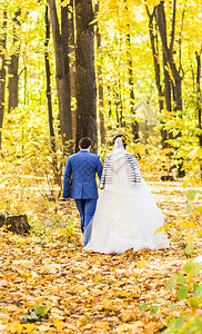 秋天的新娘和G图片