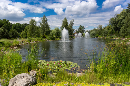 美丽的池塘景观阳光明图片