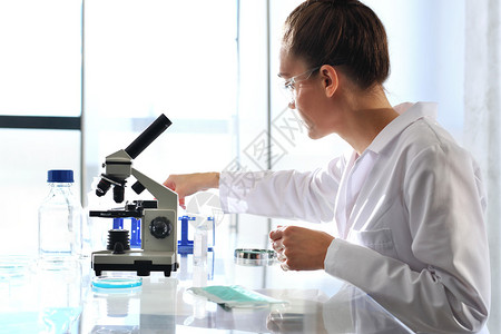 生物技术学家在实验室中检查植物样品图片