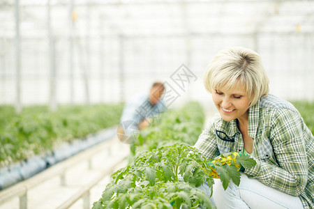 女农民照顾植图片