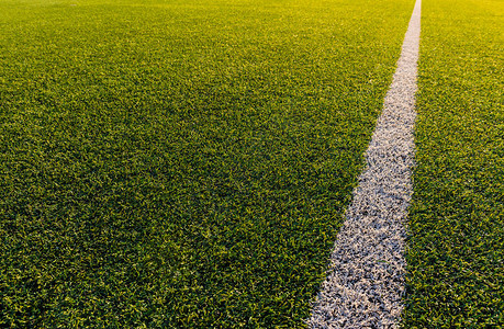 绿色足球场上的白色条纹背景图片