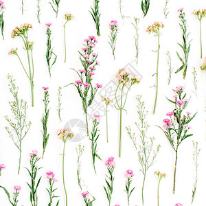 花卉图案与粉红色和米色的野花图片
