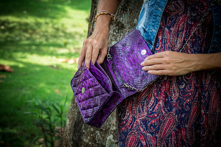 在印度尼西亚巴厘的努沙杜阿公园摆放太阳镜和奢侈蛇皮松手袋图片