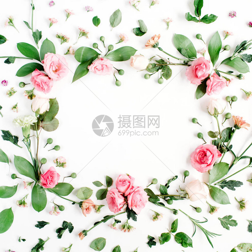 由粉红色和米色玫瑰绿叶树枝白色背景上的花卉图案制成的圆形框架图片