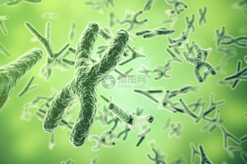 关于科学背景的染色体生命和生物学医学科图片