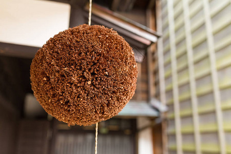 日本酒屋的雪松球图片