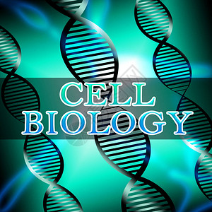 细胞生物学赫利克斯显示生物技图片