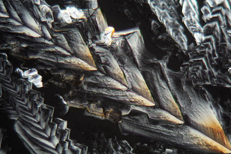 显微镜下的Erythritol水晶图片