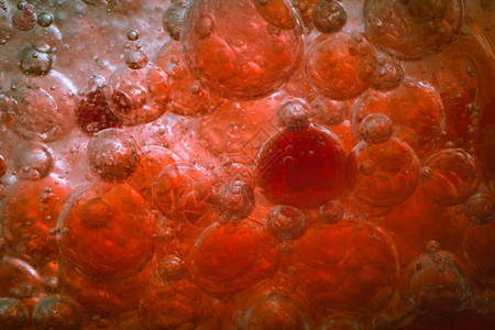 人类健康健康的红血细胞抽图片