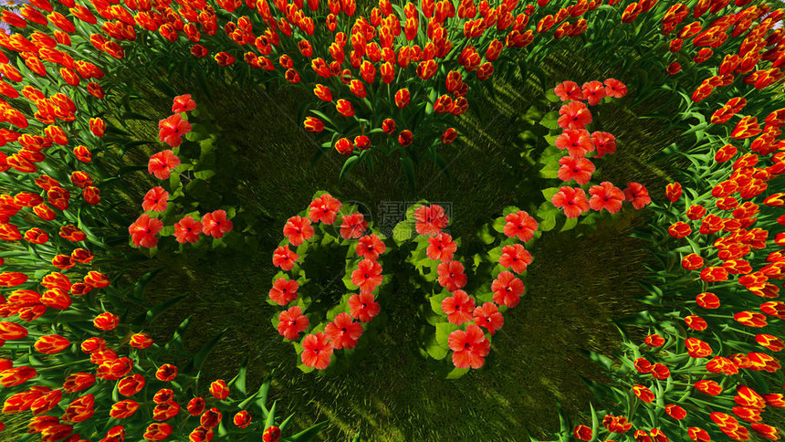 作为情人节和爱情的象征各种花朵以心脏的图片