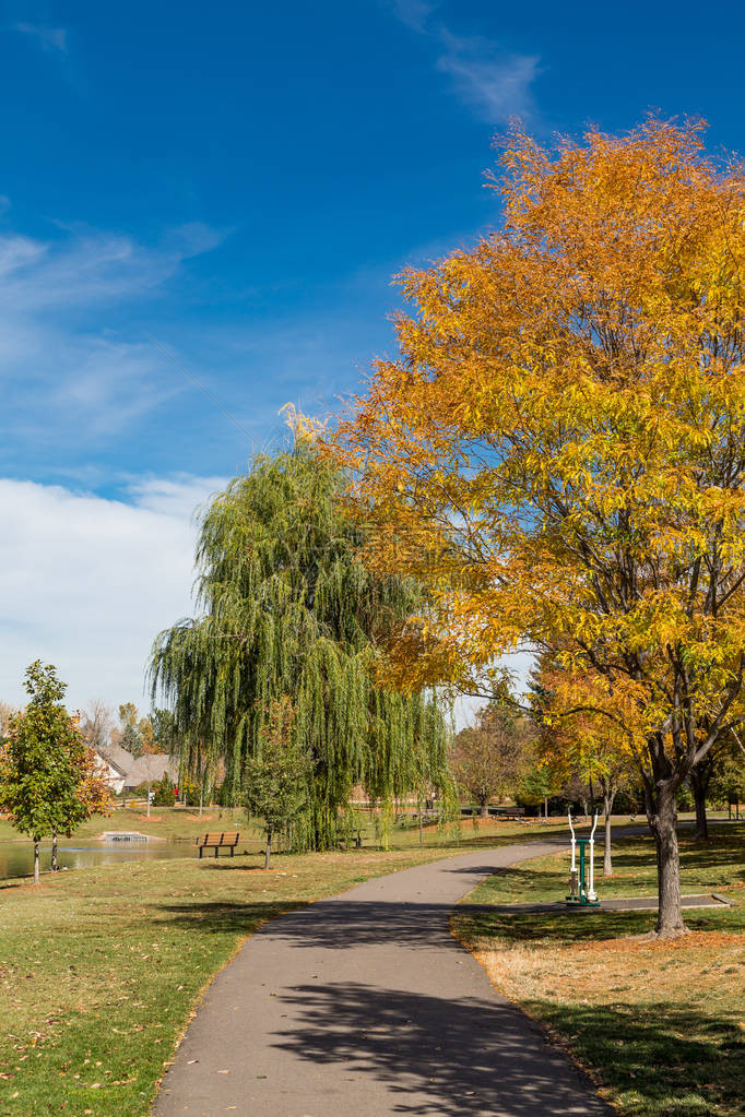 树下的秋天公园走道图片